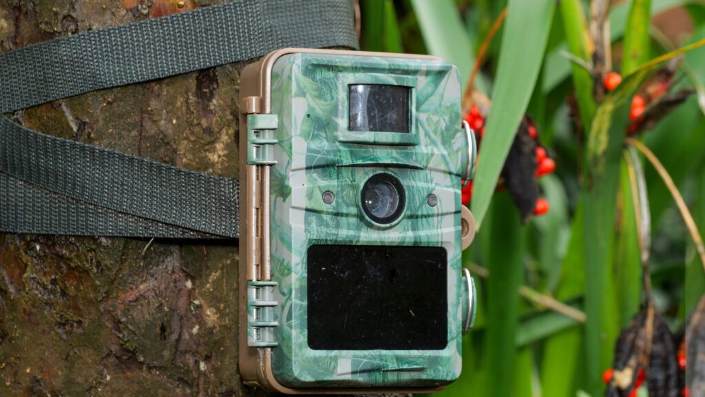 best trail camera